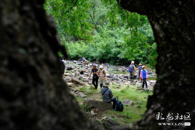 大江大河3：韦春红冯欣欣开撕，雷东宝当场复婚，雷正明诡计泡汤